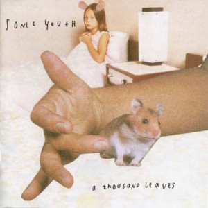 Sonic Youth's A Thousand Leaves